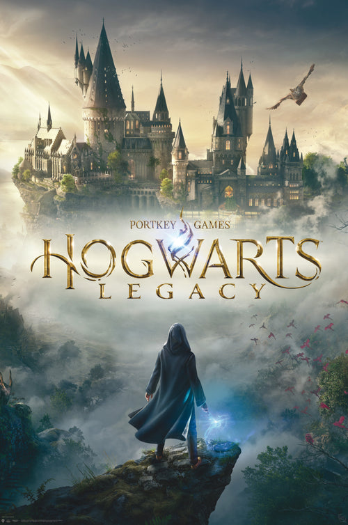 Gbeye Gbydco338 Harry Potter Hogwarts Legacy Key Art Poster 61x91 5cm | Yourdecoration.com