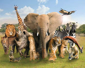 GBeye Wild World Poster 50x40cm | Yourdecoration.com