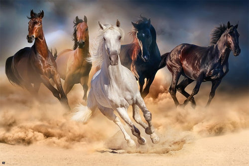 Grupo Erik GPE5031 Five Horses Poster 91,5X61cm | Yourdecoration.com