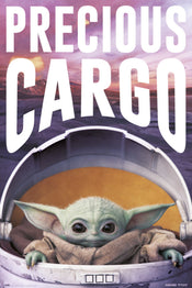 Grupo Erik GPE5420 Star Wars The Mandalorian Precious Cargo Poster 61X91,5cm | Yourdecoration.com