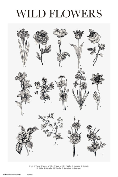 Grupo Erik GPE5546 Wild Flowers Poster 61X91,5cm | Yourdecoration.com