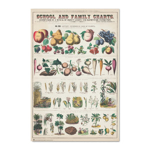 Grupo Erik Gpe5603 Poster Fruits And Vegetables | Yourdecoration.com