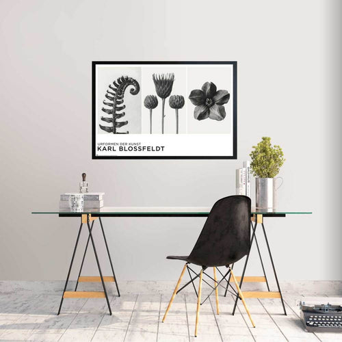 Grupo Erik Gpe5626 Poster Urformen Der Kunst By K Blossfeldt Sfeer | Yourdecoration.com