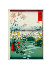 Grupo Erik Otsuki Plain In Kai Province Art Print 30x40cm | Yourdecoration.com