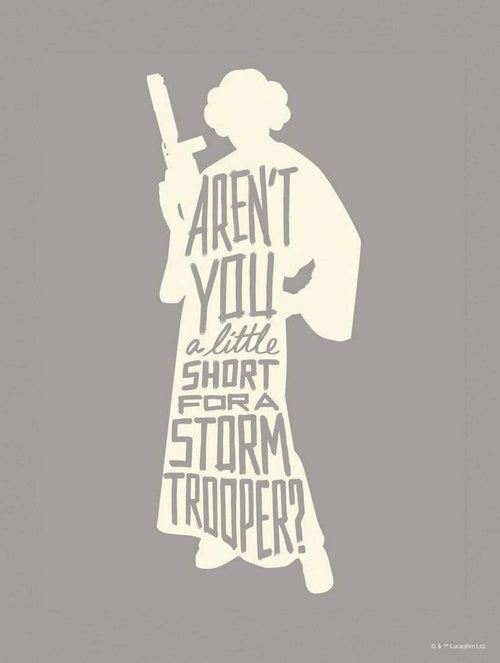 Komar Star Wars Silhouette Quotes Leia Art Print 30x40cm | Yourdecoration.com