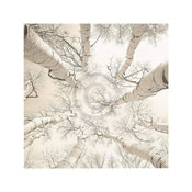 Adam Brock Silver Birch Art Print 51x51cm | Yourdecoration.com