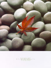 Glen & Gale Wans Leaf on Stone Art Print 45x61cm | Yourdecoration.com