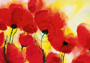 Heidi Reil Roter Mohn Toskana Art Print 100x70cm | Yourdecoration.com