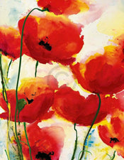 Heidi Reil Roter Mohn Art Print 70x90cm | Yourdecoration.com