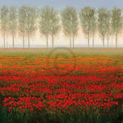 Park Morning Mist Art Print 68x68cm | Yourdecoration.com