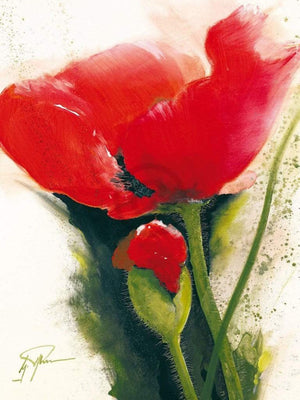 Gerd Pflumm Faszination Mohn II Art Print 60x80cm | Yourdecoration.com