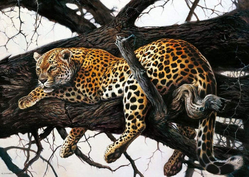 Renato Casaro Laziness Art Print 70x50cm | Yourdecoration.com