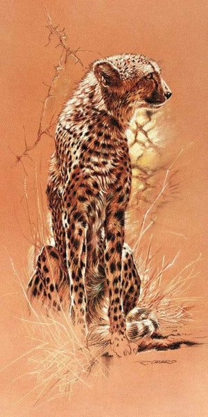 Renato Casaro Cheetah Art Print 50x100cm | Yourdecoration.com