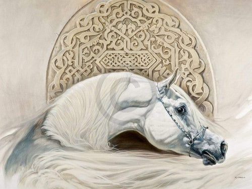 Renato Casaro Arabian Pride Art Print 80x60cm | Yourdecoration.com