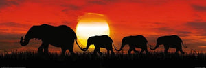 Pyramid Sunset Elephants Poster 91,5x30,5cm | Yourdecoration.com