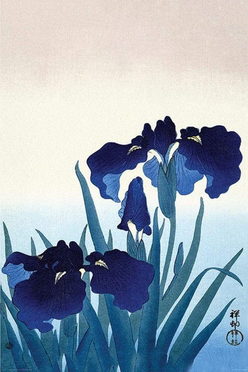 Pyramid Ohara Koson Iris Flowers Poster 61x91,5cm | Yourdecoration.com