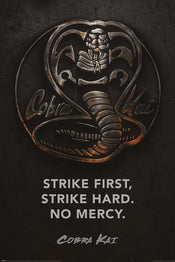 Pyramid PP34736 Cobra Kai Metal Poster | Yourdecoration.com