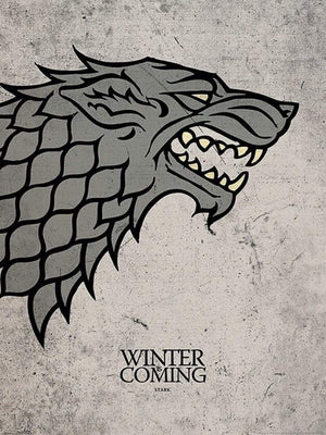 Pyramid Game of Thrones Stark Art Print 60x80cm | Yourdecoration.com