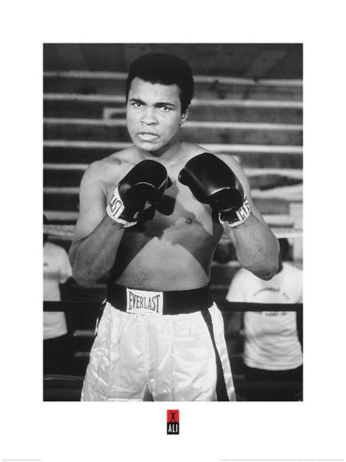 Pyramid Muhammad Ali Pose Art Print 60x80cm | Yourdecoration.com