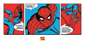 Pyramid Spider Man Triptych Art Print 50x100cm | Yourdecoration.com