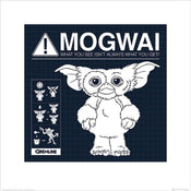 Pyramid Gremlins Mogwai Rules Art Print 40x40cm | Yourdecoration.com