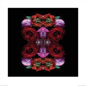 Pyramid Alyson Fennell Paradise of Petals Art Print 60x60cm | Yourdecoration.com