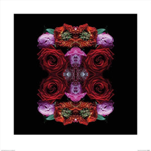 Pyramid Alyson Fennell Paradise of Petals Art Print 60x60cm | Yourdecoration.com