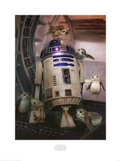 Pyramid Star Wars The Last Jedi R2D2 and Porgs Art Print 60x80cm | Yourdecoration.com