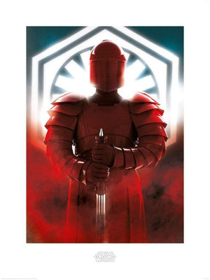 Pyramid Star Wars The Last Jedi Elite Guard Defend Art Print 60x80cm | Yourdecoration.com