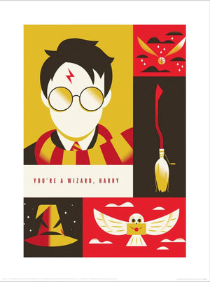 Pyramid Ppr54293 Warner Bros You Are A Wizard Harry Kunstdruk 30X40cm | Yourdecoration.com