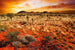 Dimex Australian Landscape Wall Mural 375x250cm 5 Panels | Yourdecoration.com