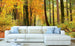 Dimex Autumn Forest Wall Mural 375x250cm 5 Panels Ambiance | Yourdecoration.com