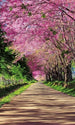 Dimex Blossom Alley Wall Mural 150x250cm 2 Panels | Yourdecoration.com