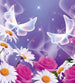 Dimex Butterfly Wall Mural 375x250cm 5 Panels | Yourdecoration.com