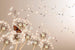 Dimex Dandelions and Butterfly Wall Mural 375x250cm 5 Panels | Yourdecoration.com