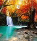 Dimex Deep Forest Waterfall Wall Mural 225x250cm 3 Panels | Yourdecoration.com