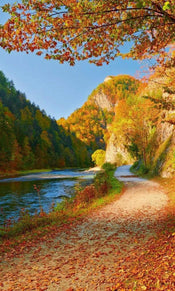 Dimex Dunajec River Wall Mural 150x250cm 2 Panels | Yourdecoration.com