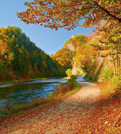 Dimex Dunajec River Wall Mural 225x250cm 3 Panels | Yourdecoration.com