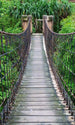 Dimex Footbridge Wall Mural 150x250cm 2 Panels | Yourdecoration.com