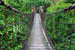 Dimex Footbridge Wall Mural 375x250cm 5 Panels | Yourdecoration.com