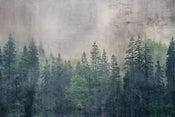 Dimex Forest Abstract Wall Mural 375x250cm 5 Panels | Yourdecoration.com