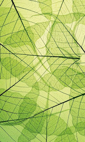 Dimex Leaf Veins Wall Mural 150x250cm 2 Panels | Yourdecoration.com