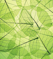 Dimex Leaf Veins Wall Mural 225x250cm 3 Panels | Yourdecoration.com