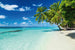 Dimex Paradise Beach Wall Mural 375x250cm 5 Panels | Yourdecoration.com