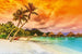 Dimex Polynesia Wall Mural 375x250cm 5 Panels | Yourdecoration.com