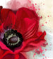 Dimex Poppy Wall Mural 225x250cm 3 Panels | Yourdecoration.com