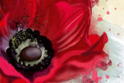 Dimex Poppy Wall Mural 375x250cm 5 Panels | Yourdecoration.com