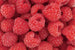 Dimex Raspberry Wall Mural 375x250cm 5 Panels | Yourdecoration.com