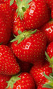 Dimex Strawberry Wall Mural 150x250cm 2 Panels | Yourdecoration.com