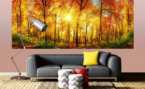 Dimex Sunny Forest Wall Mural 375x150cm 5 Panels Ambiance | Yourdecoration.com